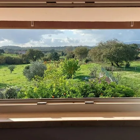 Casa Alegria - The Orangery *