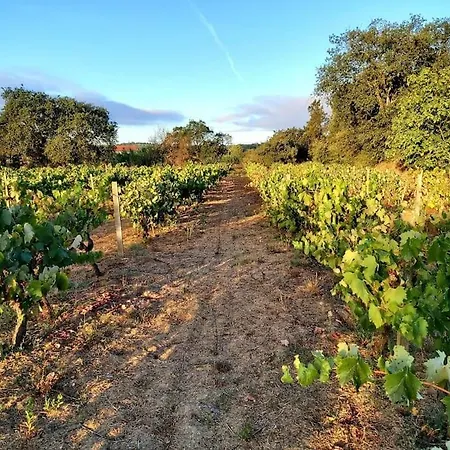Casa Alegria - The Orangery Apartment Tomar
