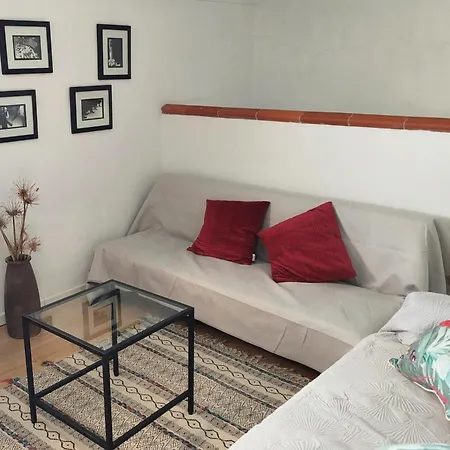 Casa Alegria - The Orangery Apartment