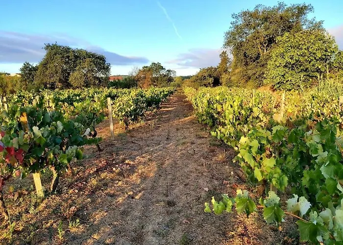 Casa Alegria - The Orangery דירה טומאר