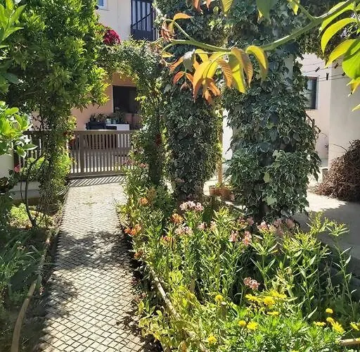 Casa Alegria - The Orangery Daire *